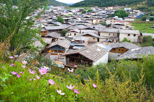 山村美景繁花簇拥的村落