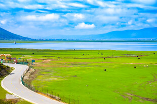草原风光与蜿蜒小路美景