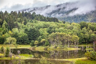 山林湖畔美景