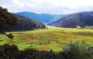 广袤草原山谷自然风光