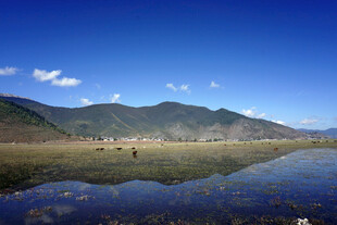 湖畔青山倒影美景如画