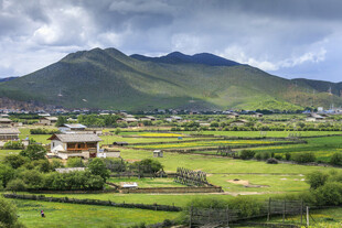 田园山村美景