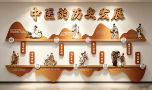 中医的历史发展 中医院文化墙