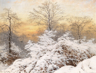 冬日雪覆树林美景