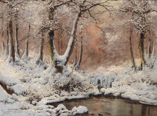 冬日雪林小溪静谧美景