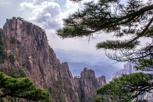 壮丽黄山奇峰与苍松