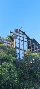 丛林中的废弃建筑框架