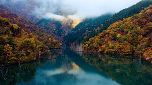 秋天