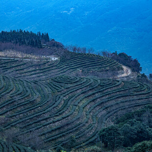 山间层层叠叠的美丽梯田