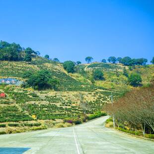山间蜿蜒公路与葱郁景致