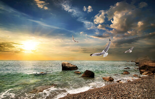 海边日落美景