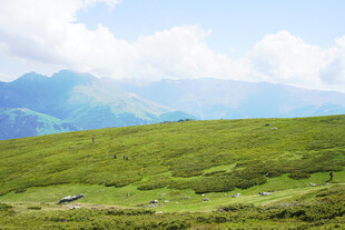草原远山美景