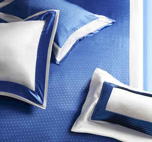 蓝白配色精致抱枕与靠垫