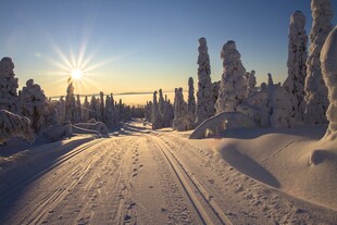 冬日雪林夕阳下的壮美景色