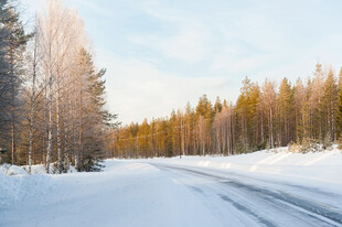 冬日雪覆林间公路美景