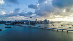 海滨城市美丽跨海大桥景观