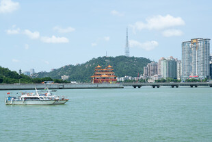 海滨城市风光游船伴高楼
