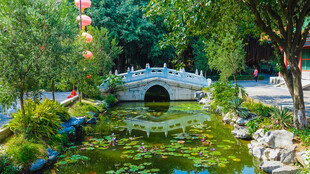 中式园林小桥流水景致
