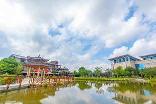 水乡景致古韵建筑映碧水