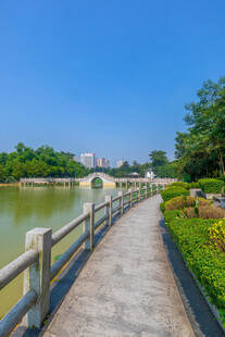 湖畔木径绿意盎然的美景