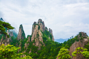 奇峰林立的壮美山林景观