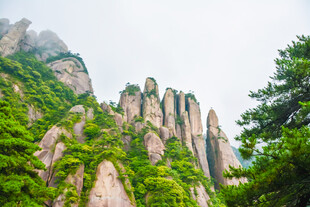 奇峰绿植构成壮美山景