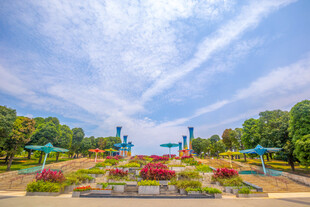 公园美丽景致与多彩花卉