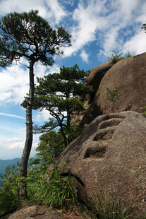 山间松立巨石伴阶景