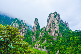 秀丽奇峰伴葱郁山林