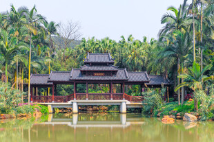 中式园林湖畔古典建筑