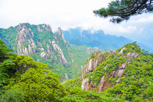 壮美山峦绿意盎然景色
