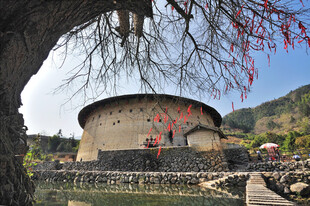 古树下的圆形土楼建筑