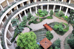 庭院式建筑内的绿植景观