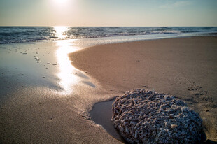 夕阳下的海滩与礁石