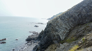海岸边的嶙峋岩石景观
