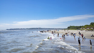 夏日海滩欢乐戏水场景