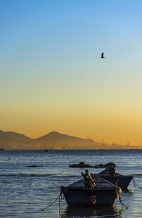 夕阳下的海边渔船与飞鸟