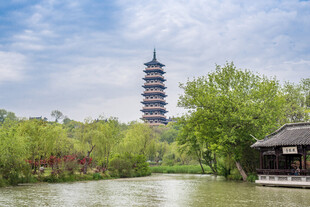 湖畔古塔与葱郁绿树景致