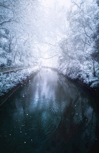 冬日雪覆河流静谧景象