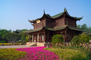 中式古建旁的缤纷花卉