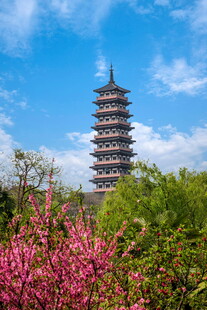 春日繁花中的古塔美景
