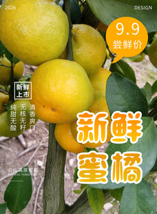 新鲜蜜橘促销海报