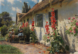 乡村小屋的温馨花园景象