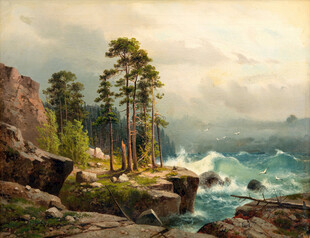 海边松林风景
