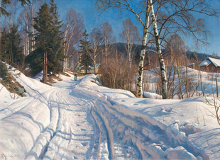 冬日雪中小路风景