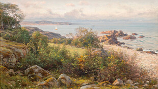 海岸边的自然风景画作