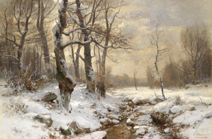 冬日雪林溪流静谧景象