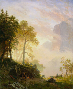 林间晨曦美景
