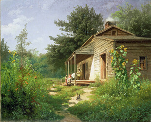 乡村小屋旁的自然景致