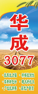 麦种注水旗 旗帜 海报